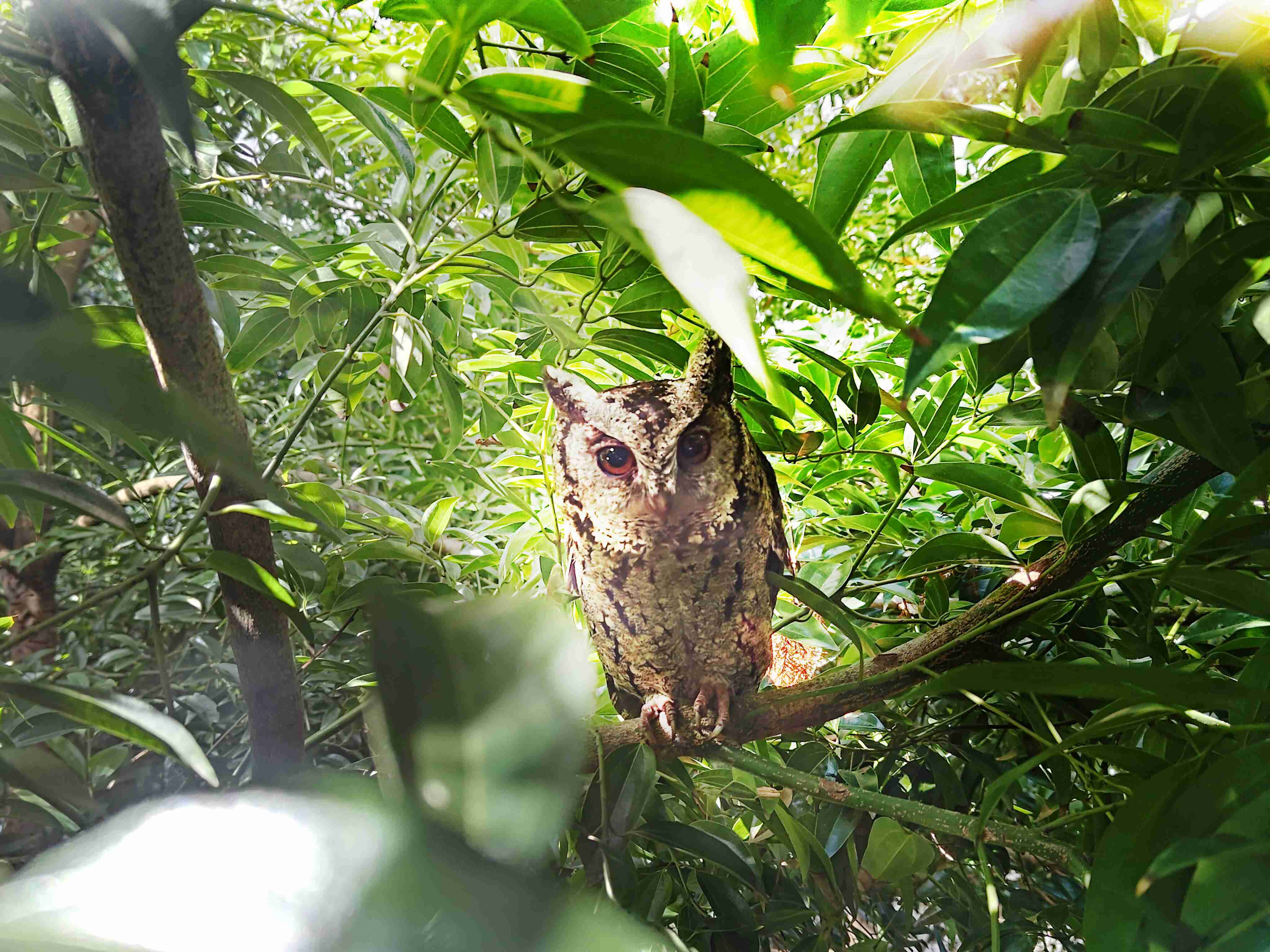 z6尊龙致力提倡净零绿生活，，，16年以来在全球各厂区植树逾百万棵，，，，造就各厂区树木蔚然成林，，犹如森林工厂，，成为许多生物的栖息地